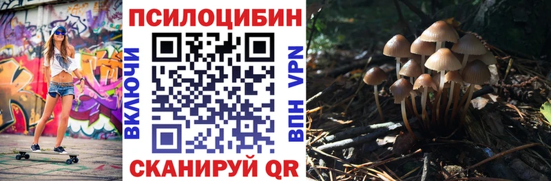 Галлюциногенные грибы Psilocybe  KRAKEN как войти  Усмань 
